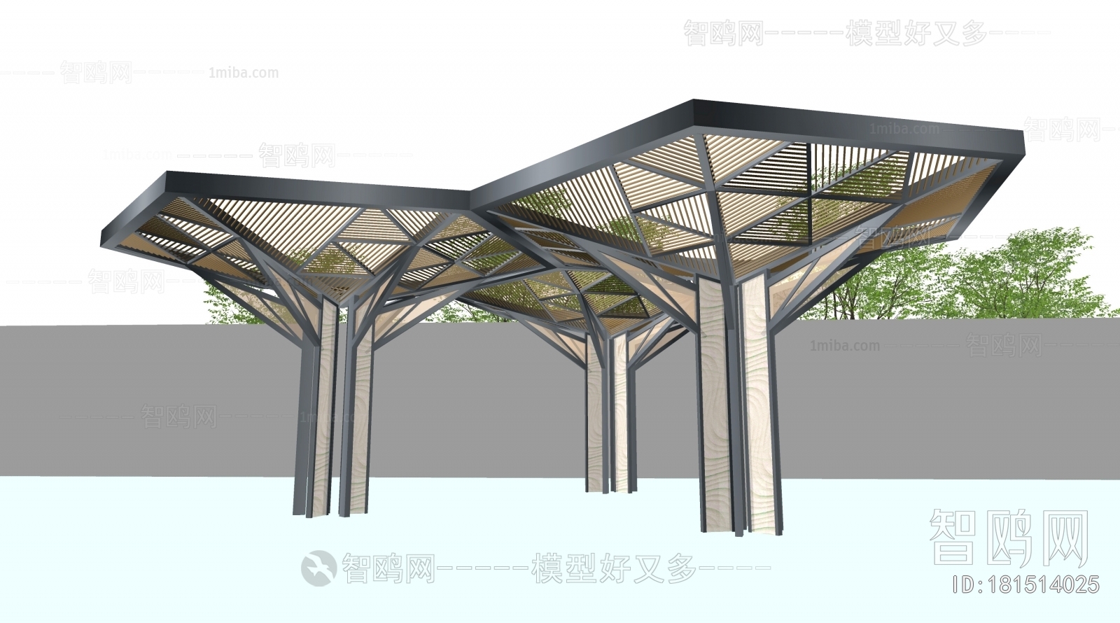 Modern Gallery Frame