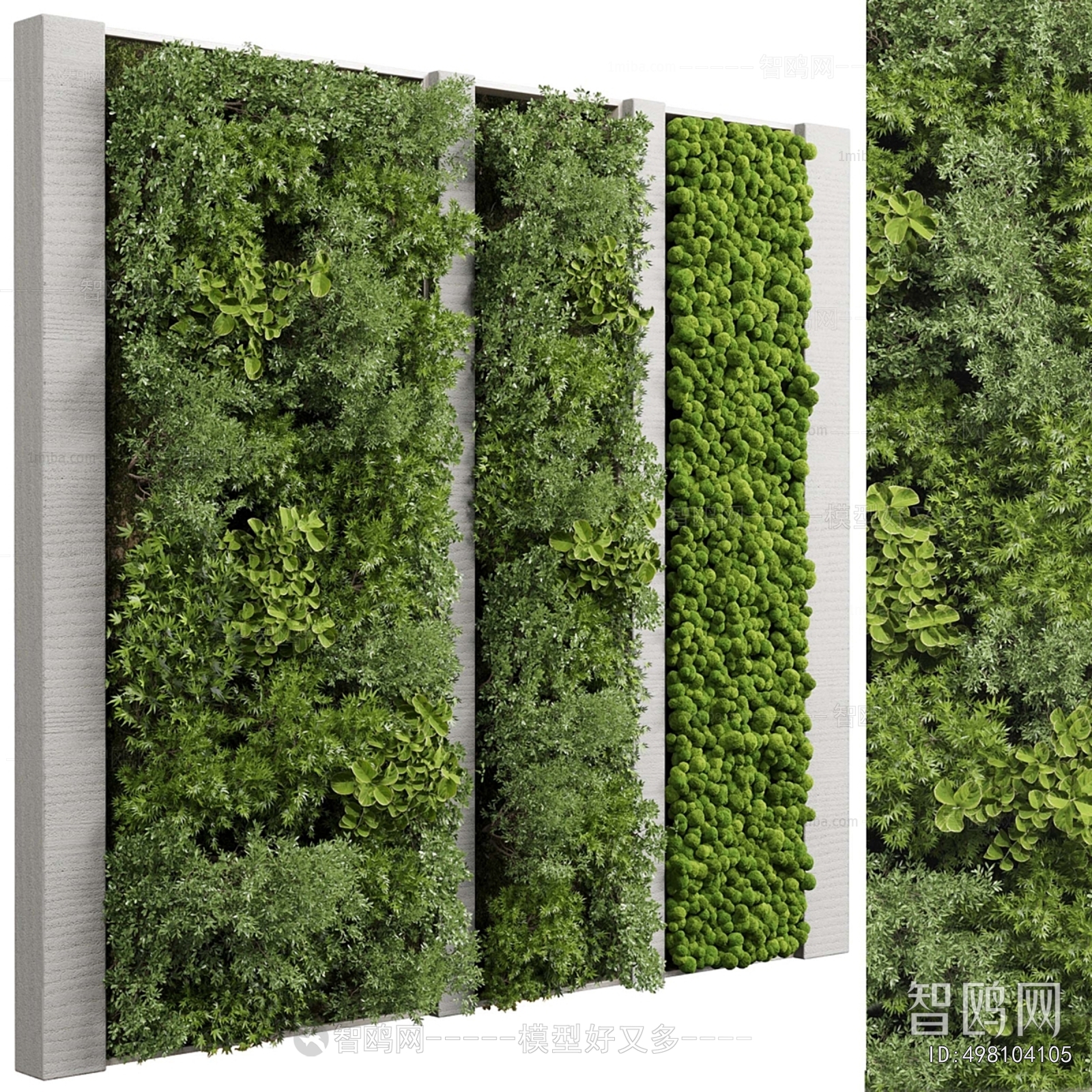 Modern Plant Wall