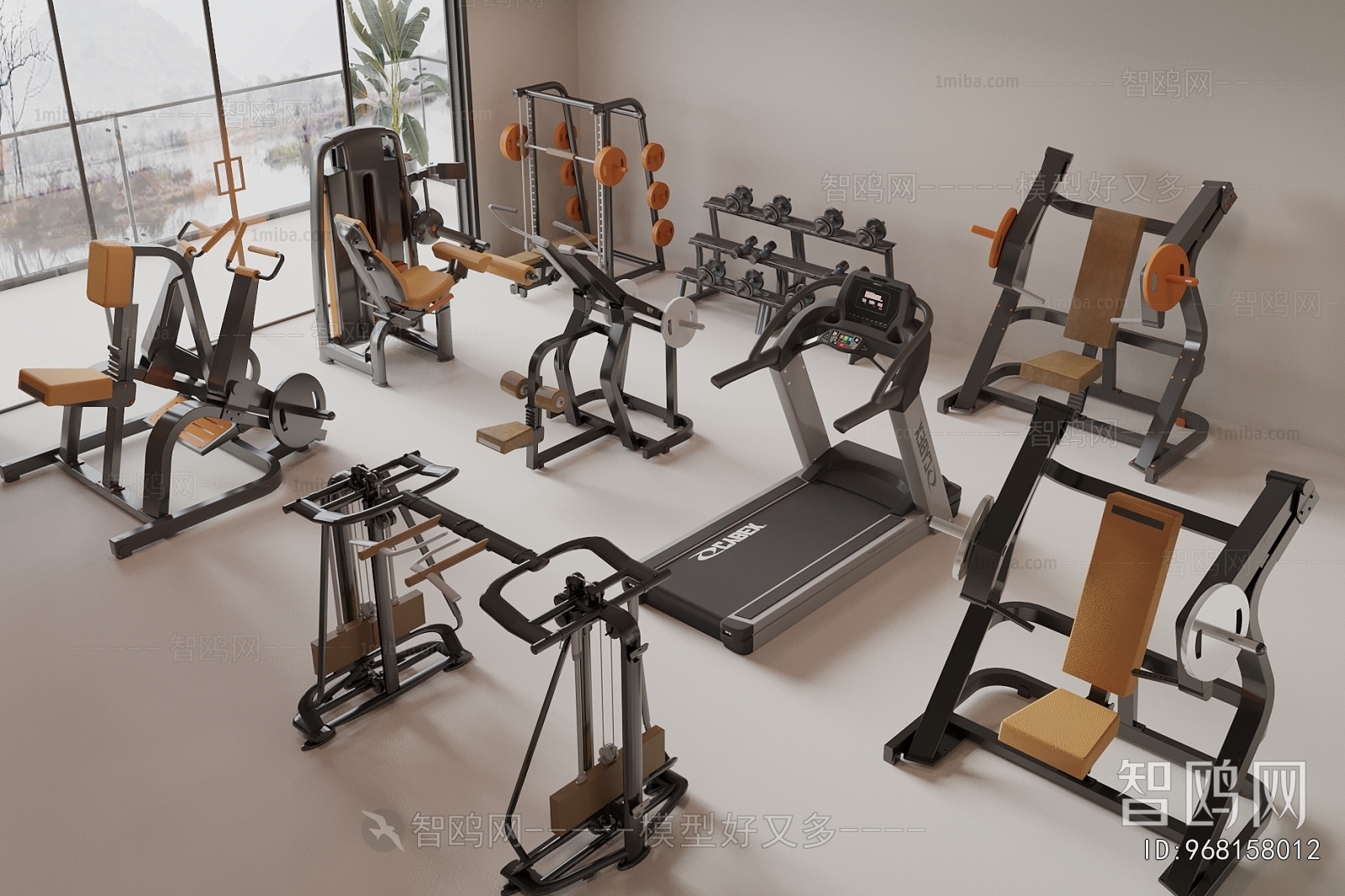 Modern Fitness Equipment