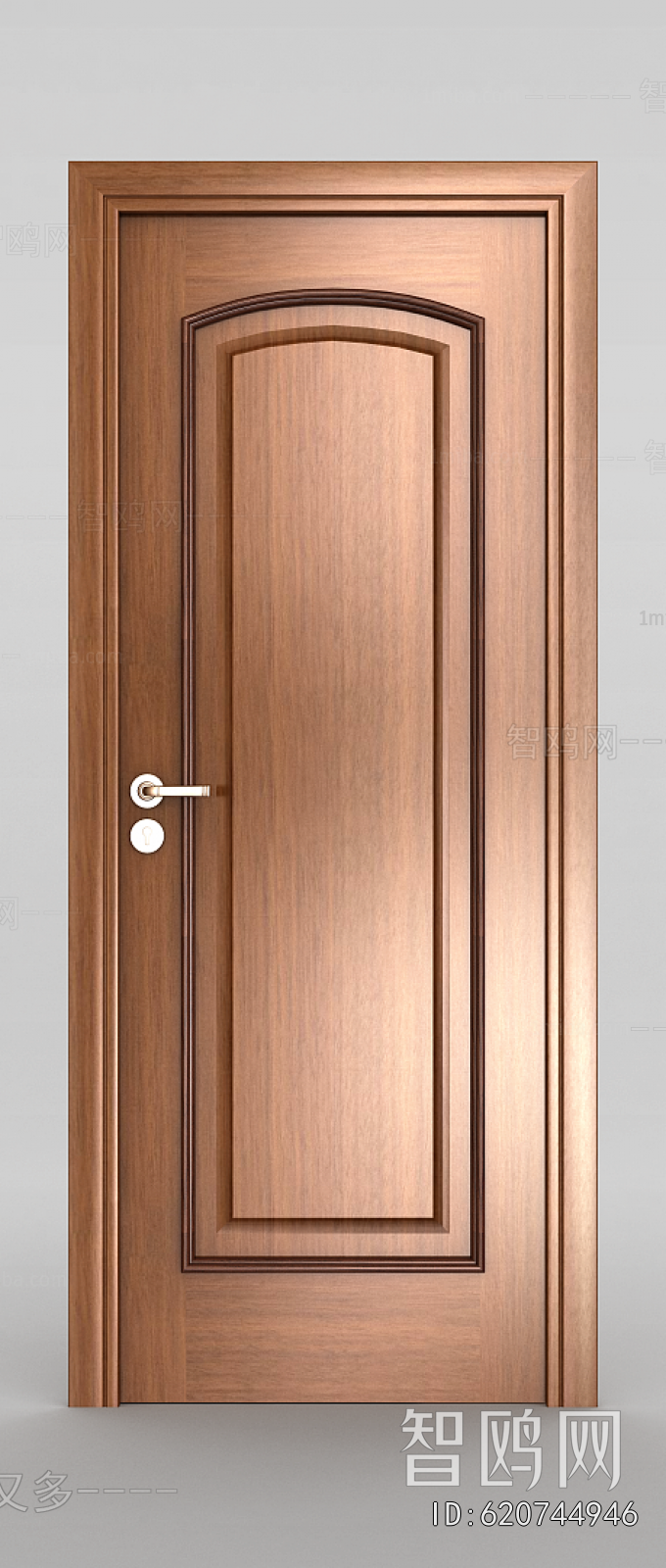 Modern Single Door
