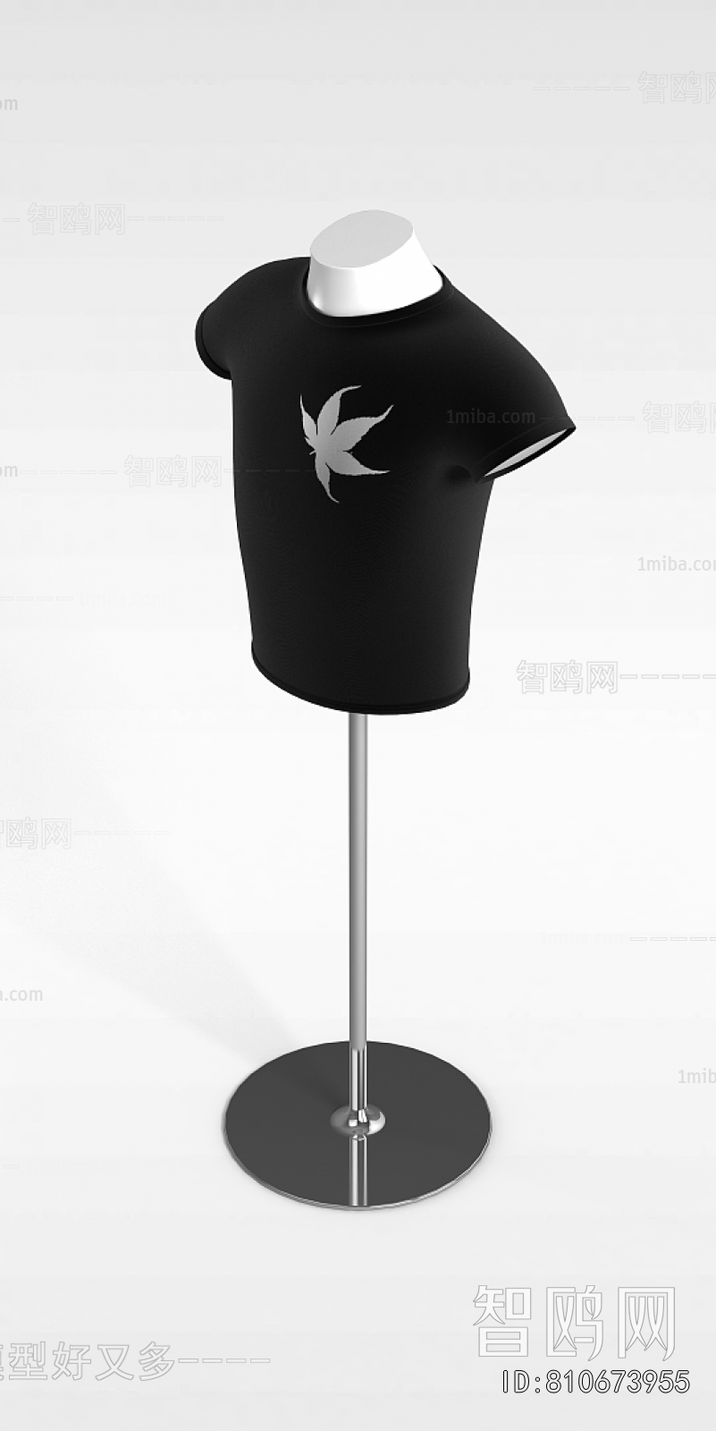 Modern Fashion Model