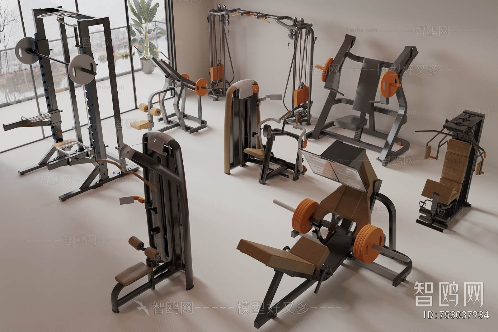 Modern Fitness Equipment