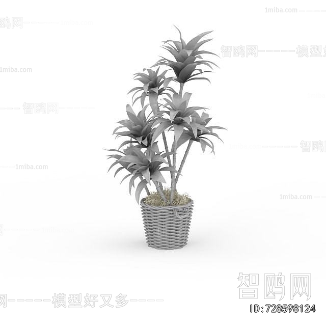 Modern Potted Green Plant