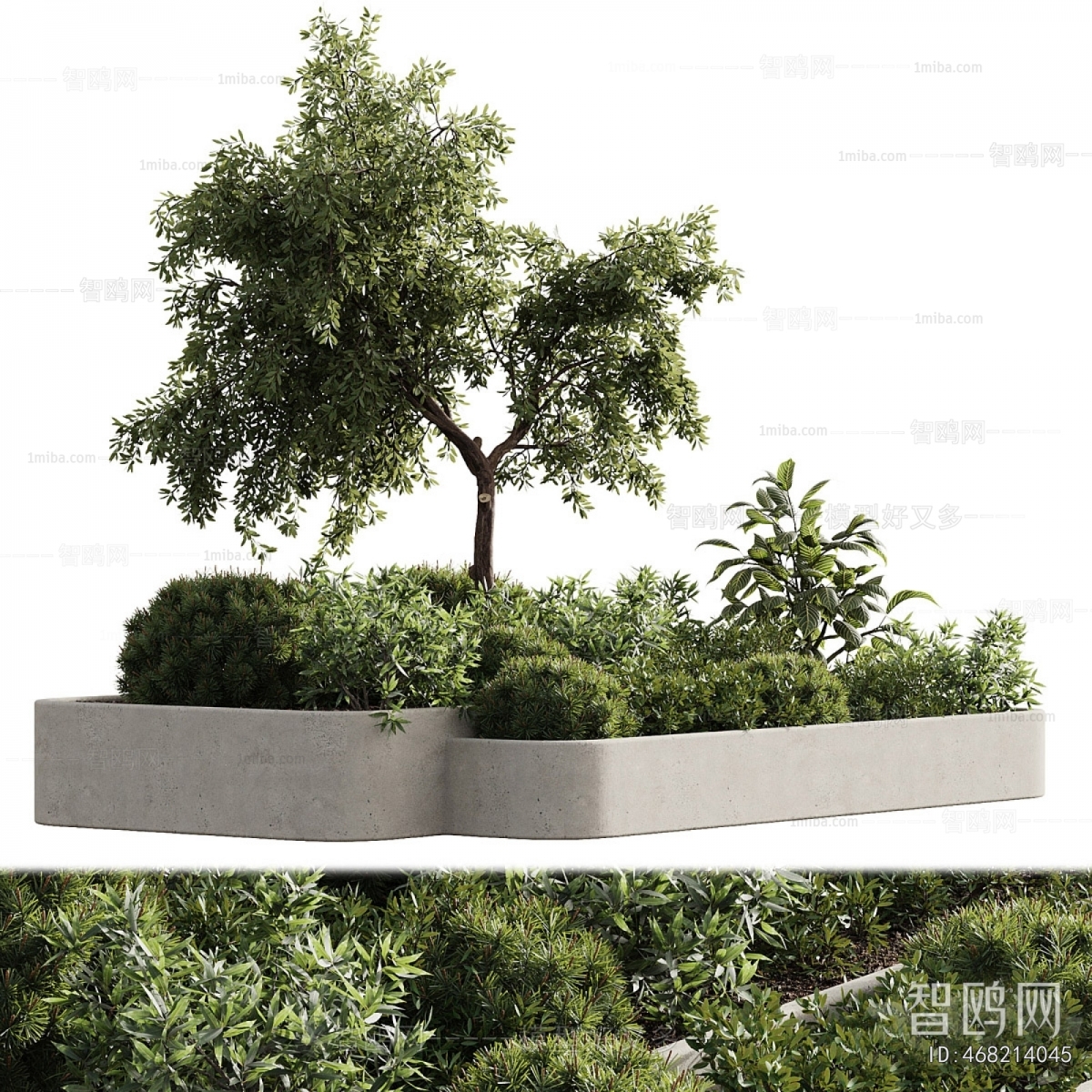 Modern Flower Bed, Flower Bowl, Flower Box
