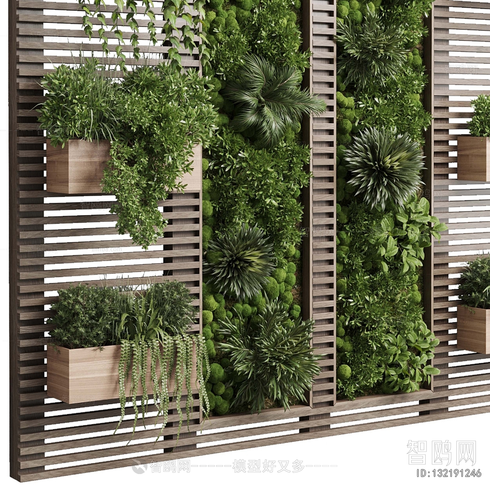 Modern Plant Wall