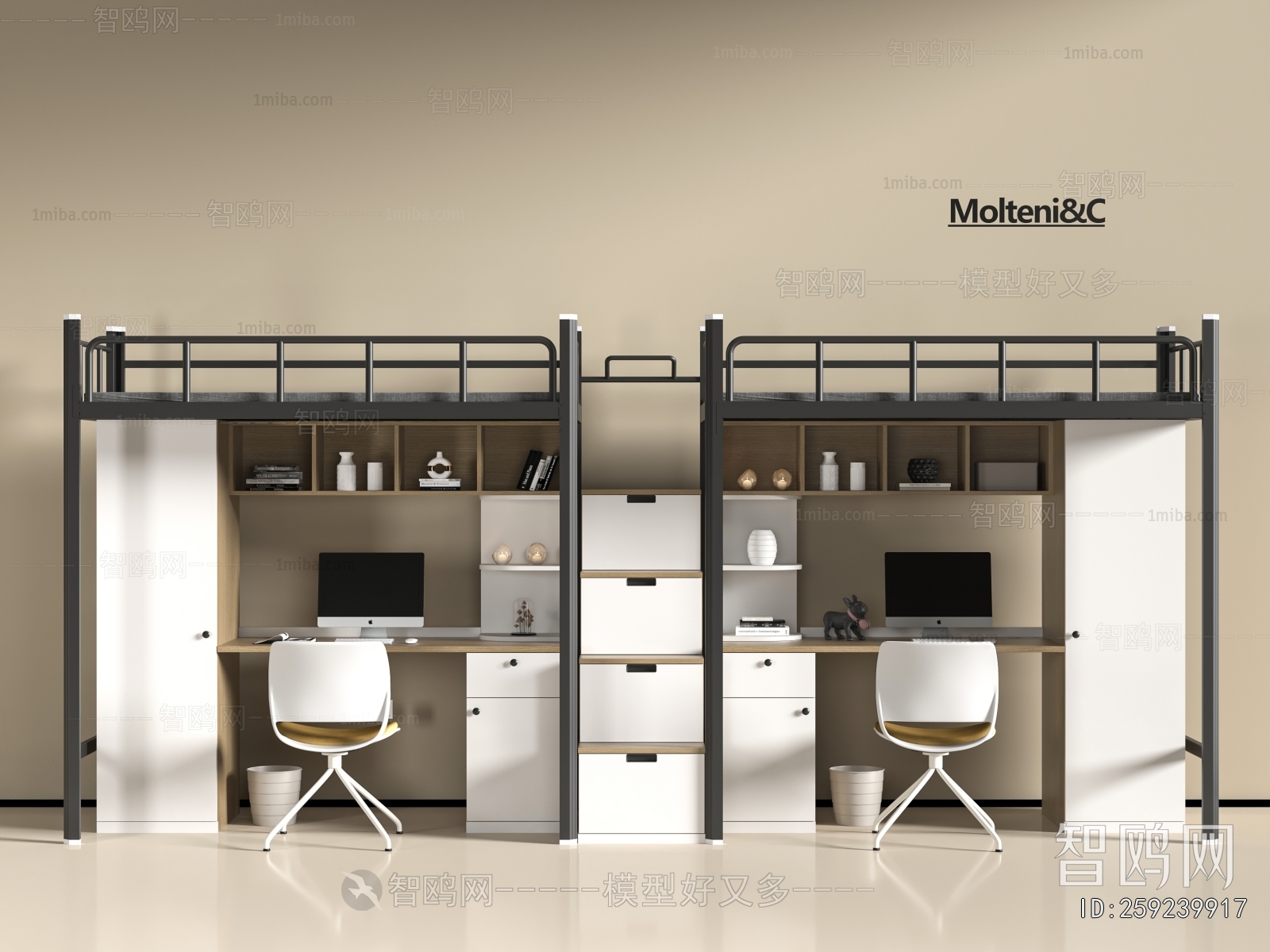 Modern Bunk Bed