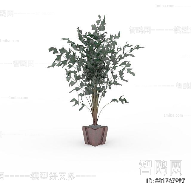 Modern Ground Green Plant Potted Plants