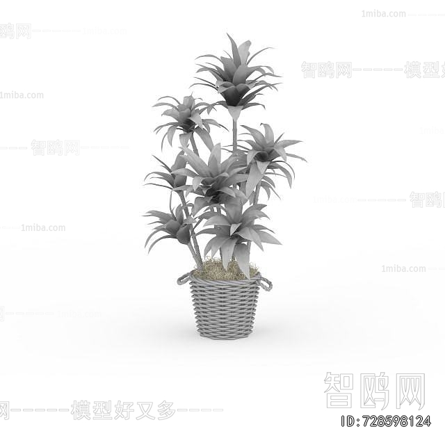 Modern Potted Green Plant