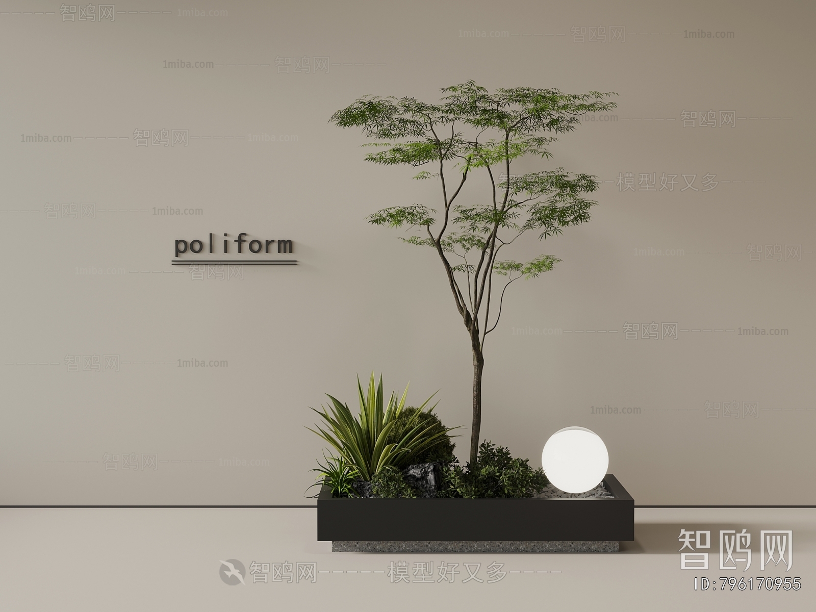 Modern Plant Landscaping