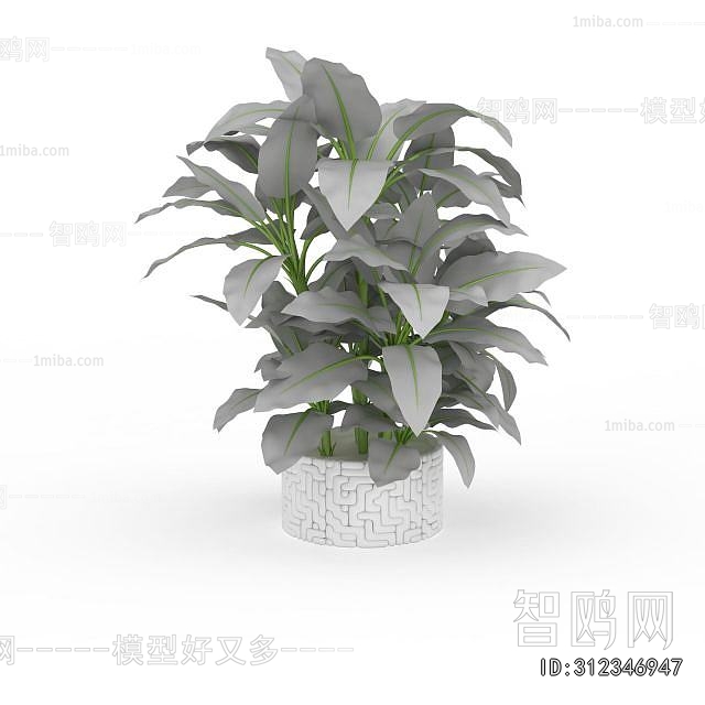 Modern Potted Green Plant