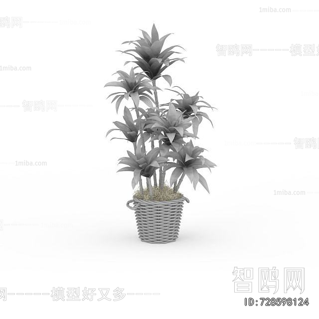 Modern Potted Green Plant