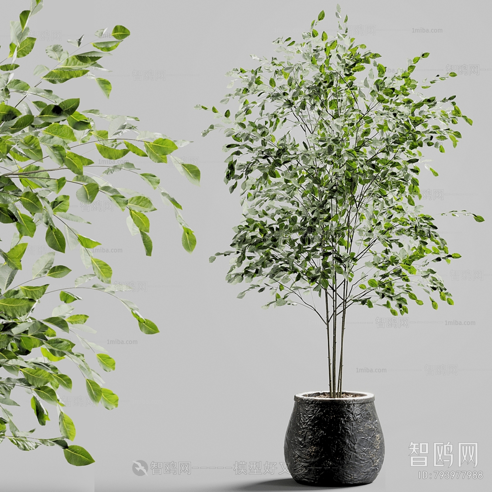 Modern Ground Green Plant Potted Plants