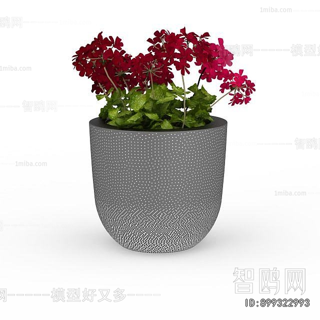 Modern Potted Green Plant