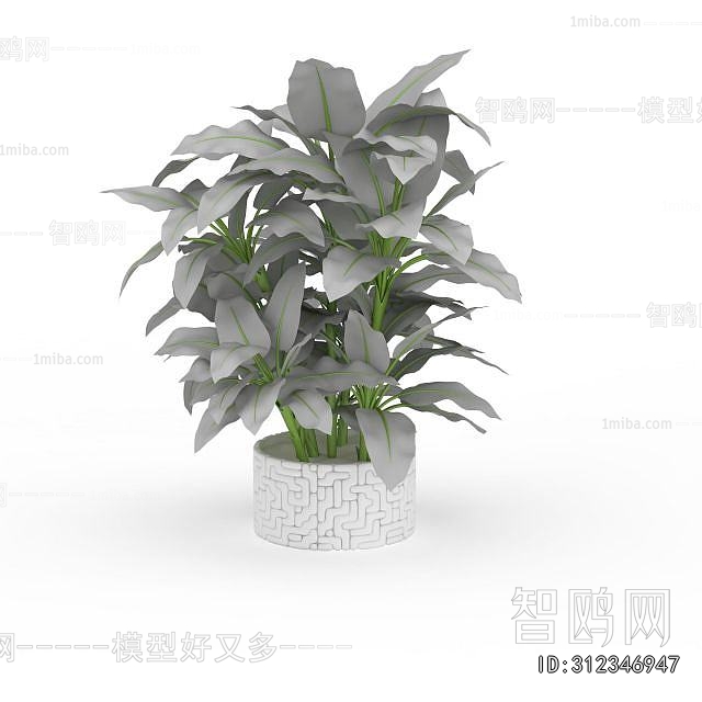 Modern Potted Green Plant