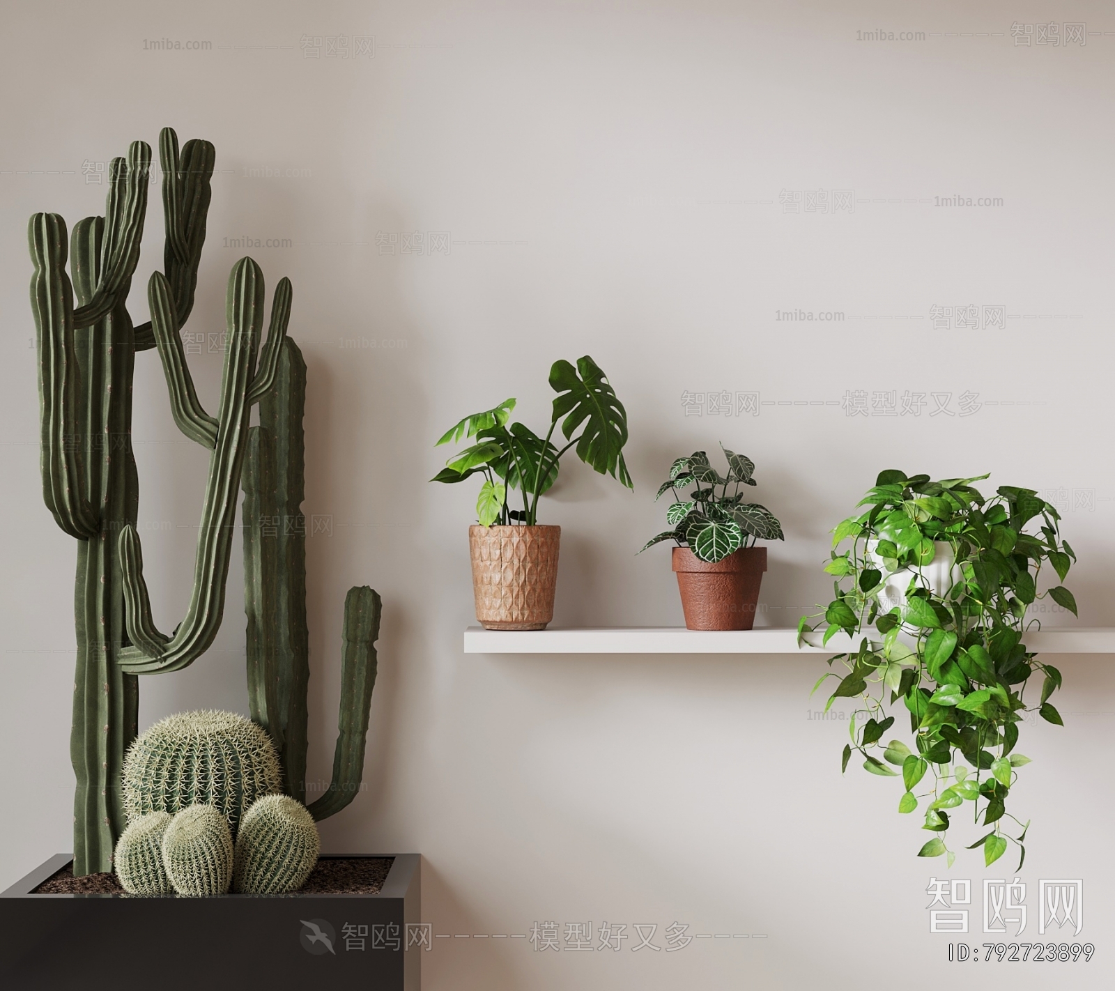 Modern Potted Green Plant