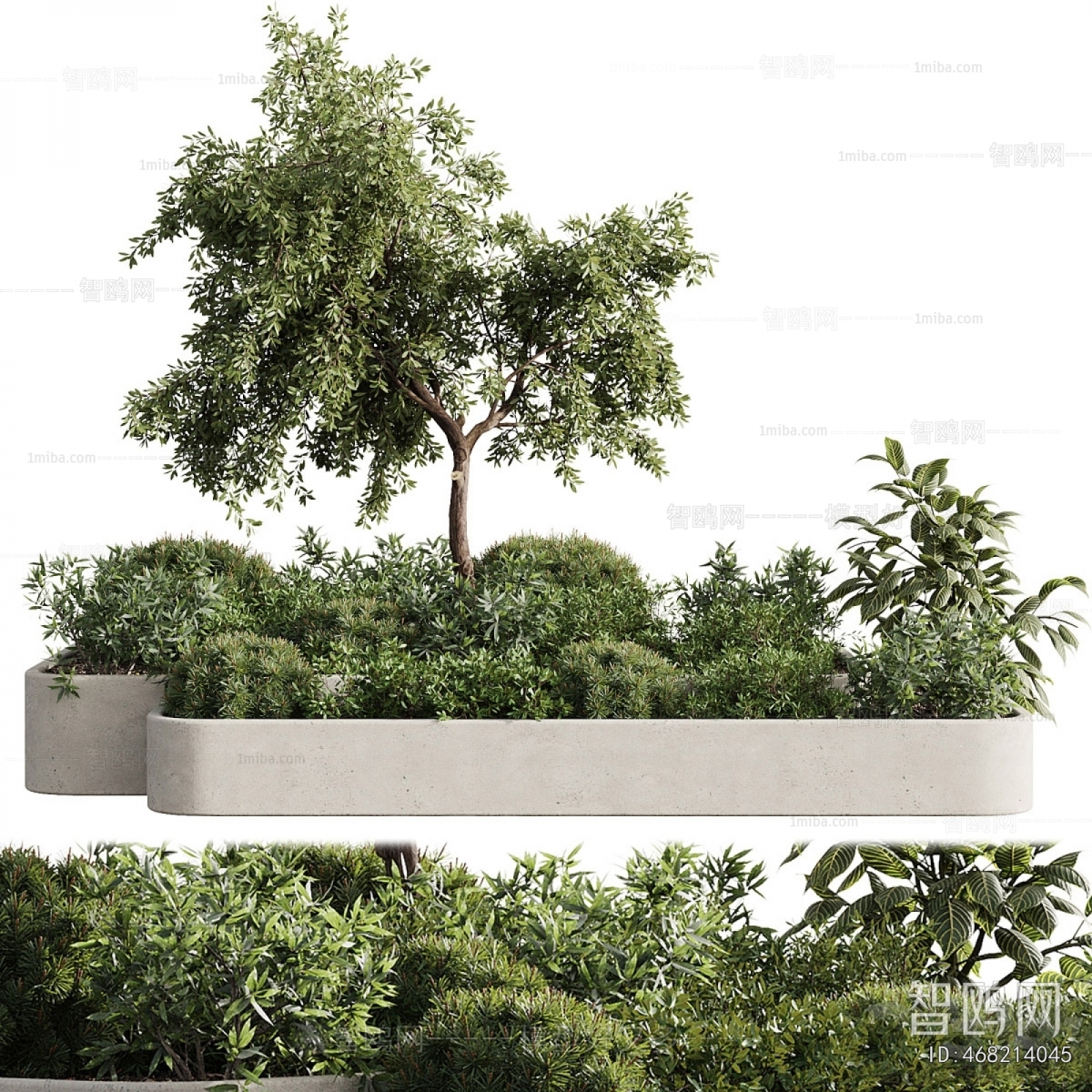 Modern Flower Bed, Flower Bowl, Flower Box