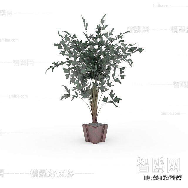 Modern Ground Green Plant Potted Plants