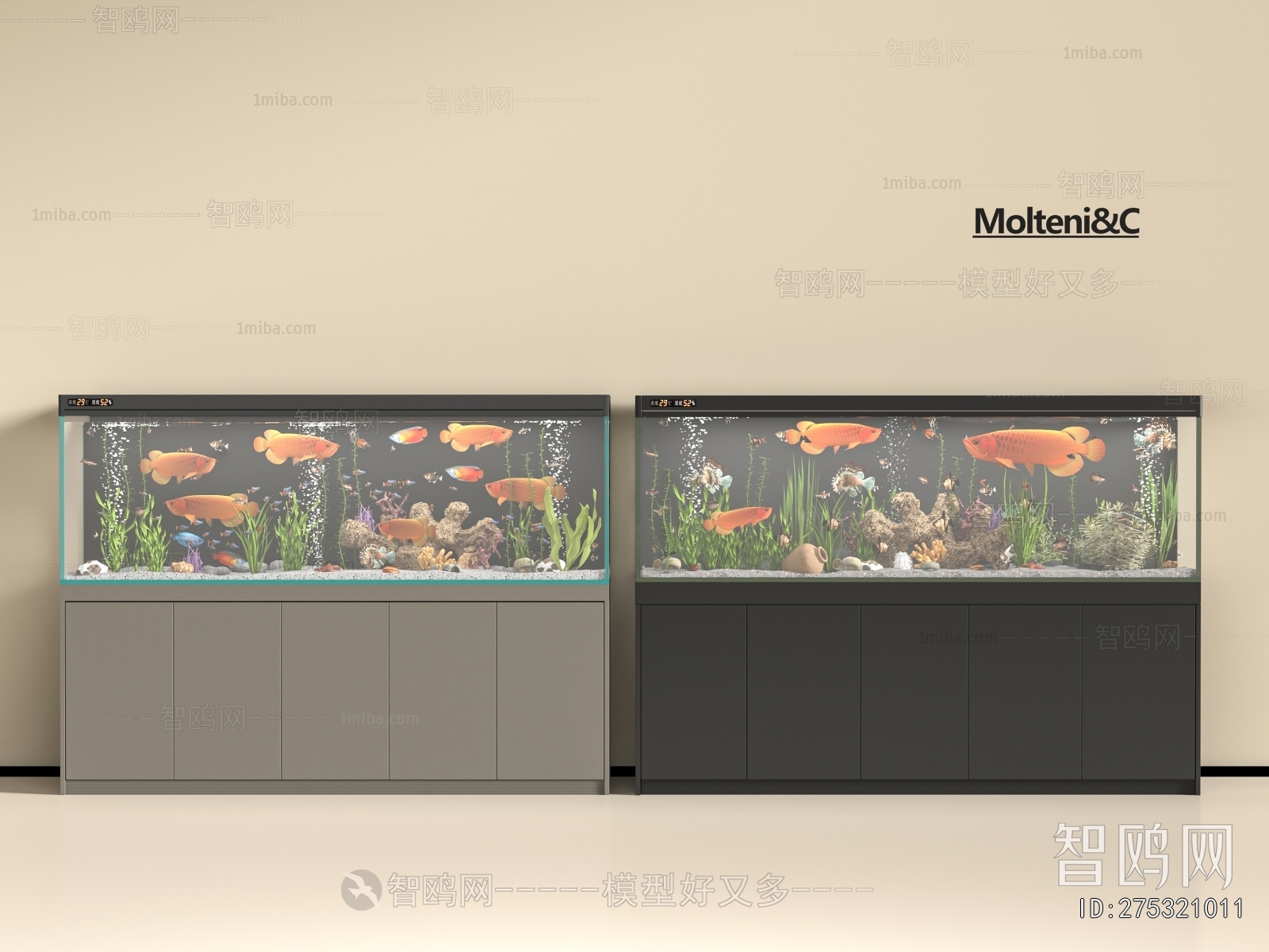 Modern Fish Tank
