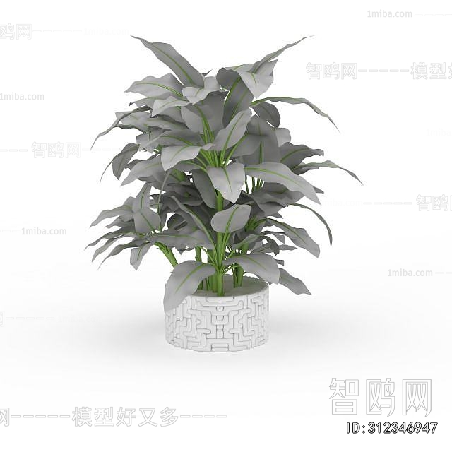 Modern Potted Green Plant