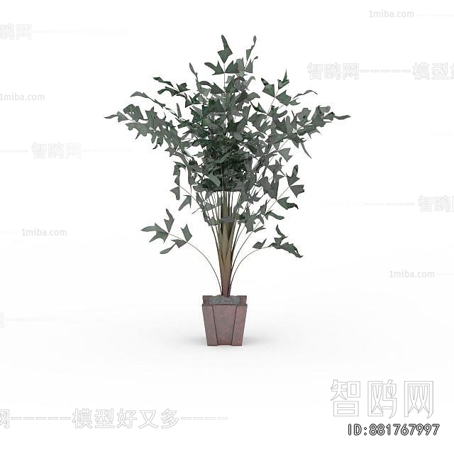 Modern Ground Green Plant Potted Plants