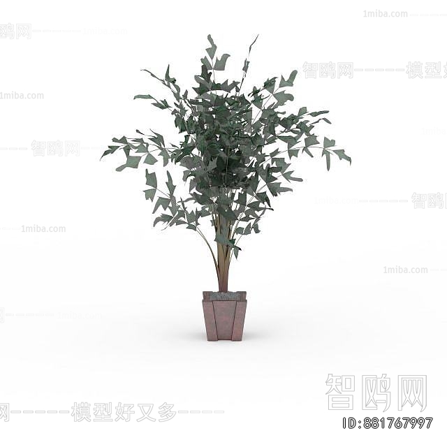 Modern Ground Green Plant Potted Plants