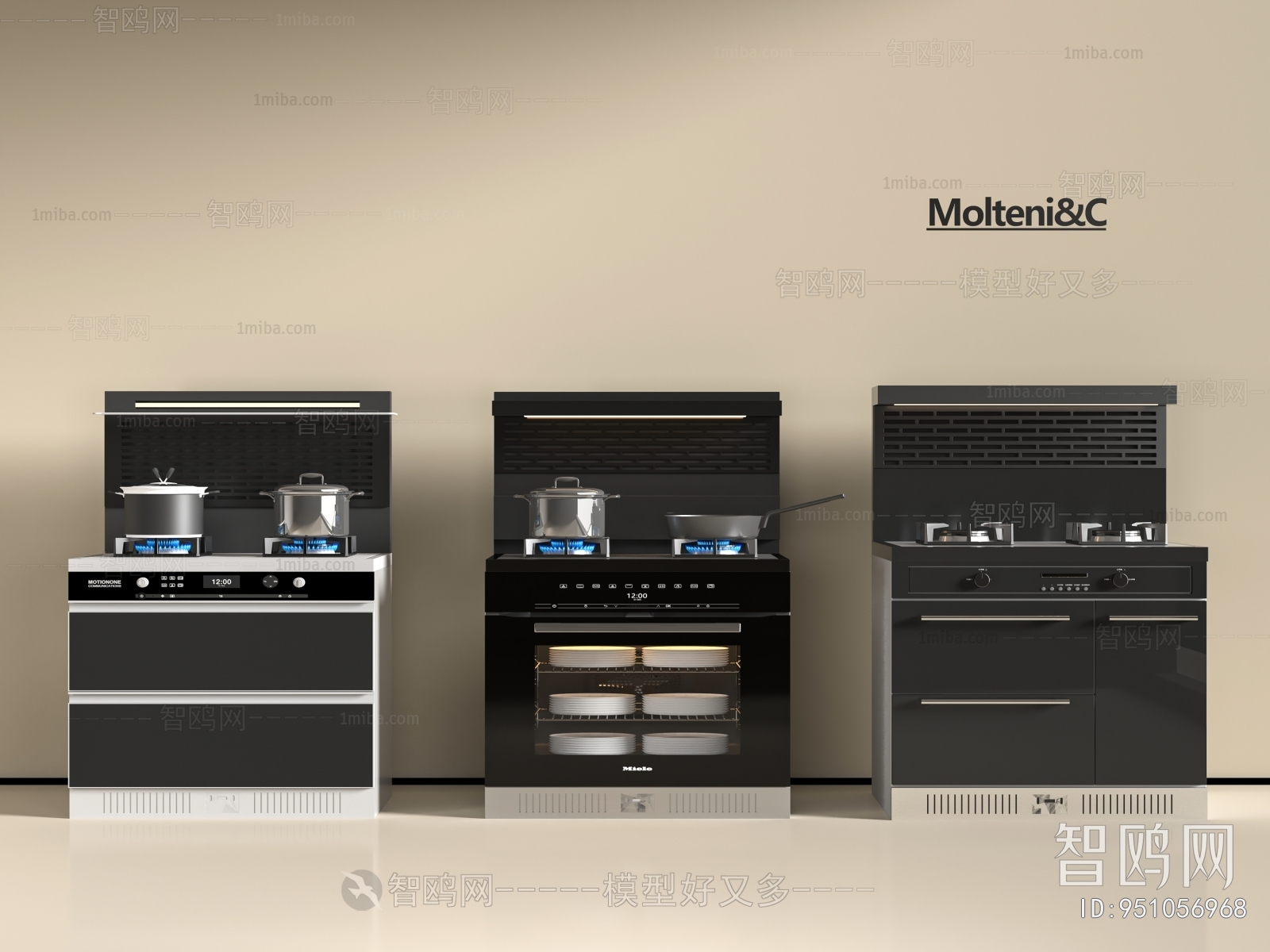 Modern Kitchen Electric Gas Range