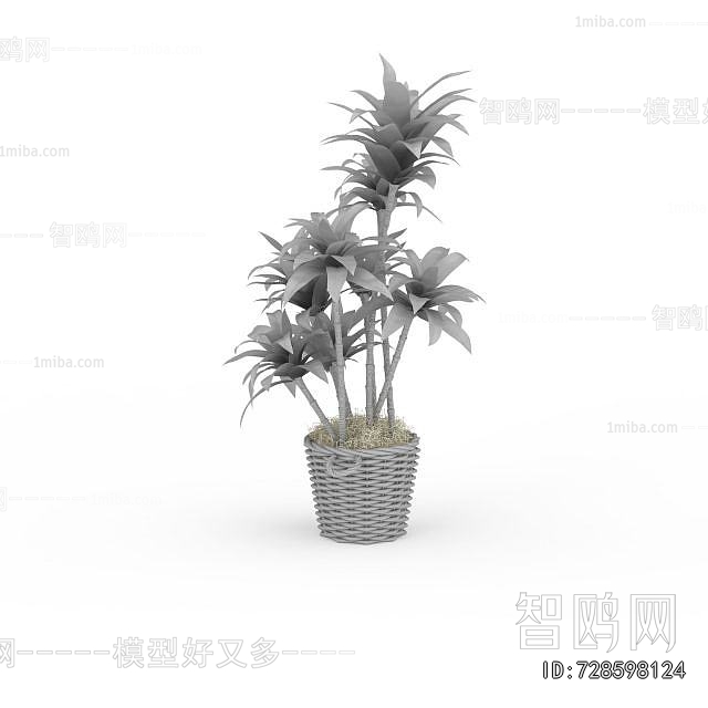 Modern Potted Green Plant