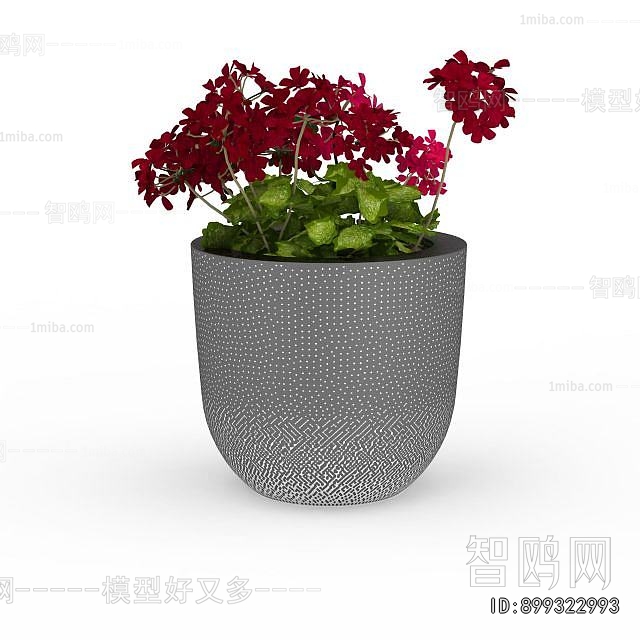 Modern Potted Green Plant