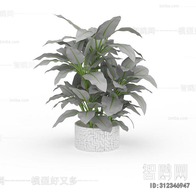 Modern Potted Green Plant