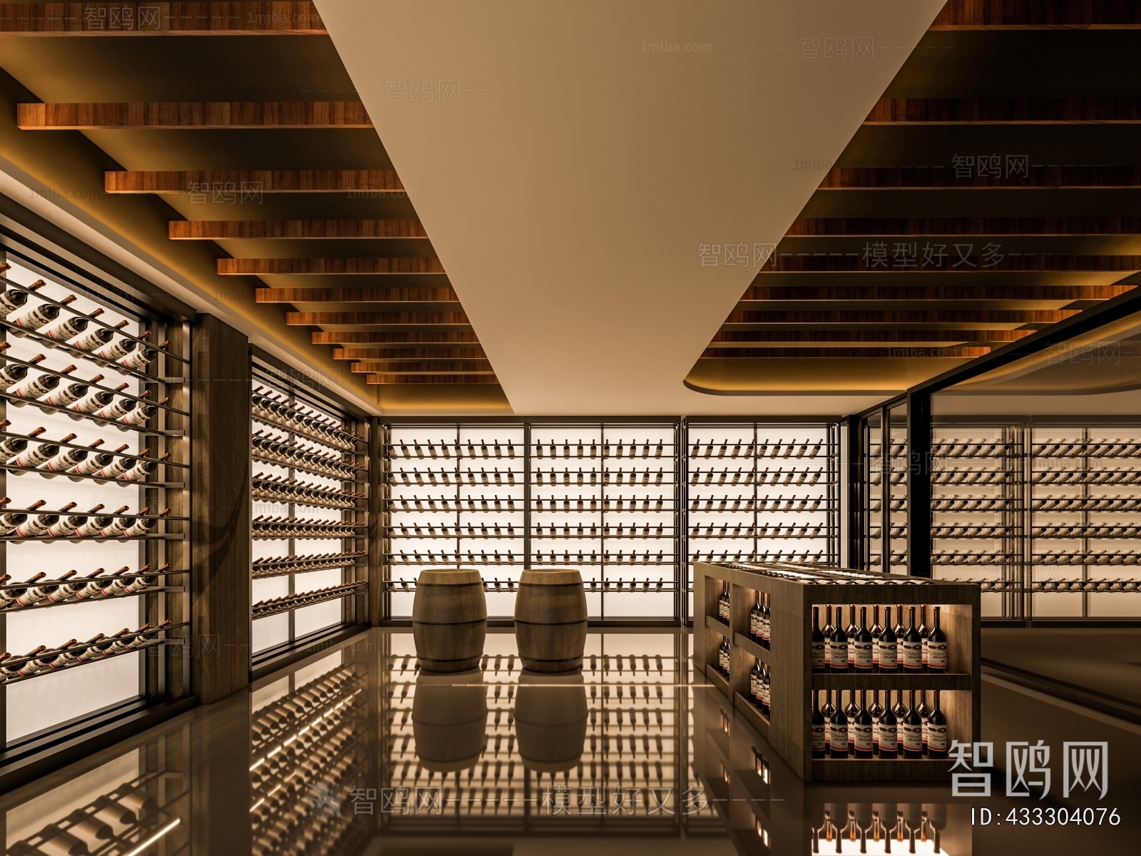 Modern Wine Cellar/Wine Tasting Room