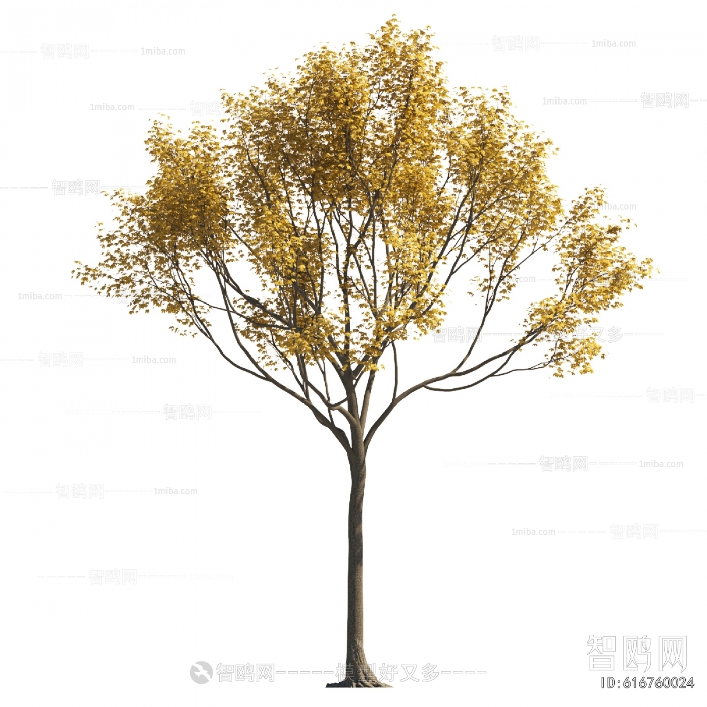 Modern Tree