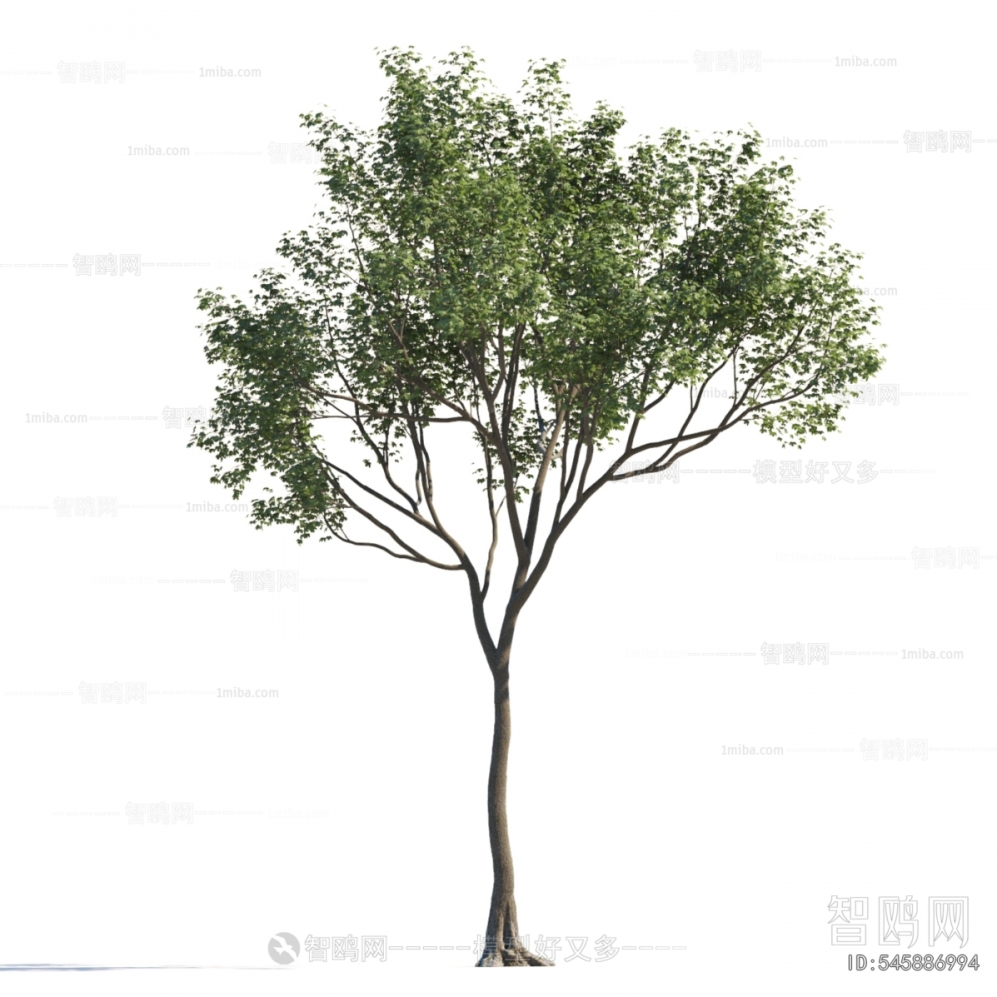 Modern Tree