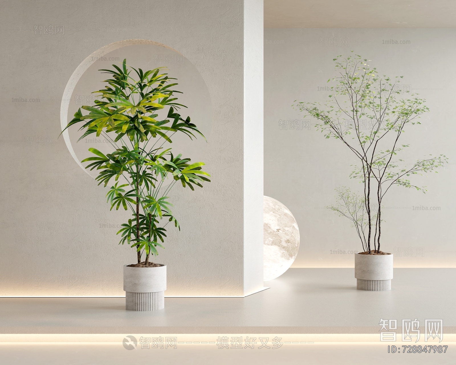 Modern Ground Green Plant Potted Plants
