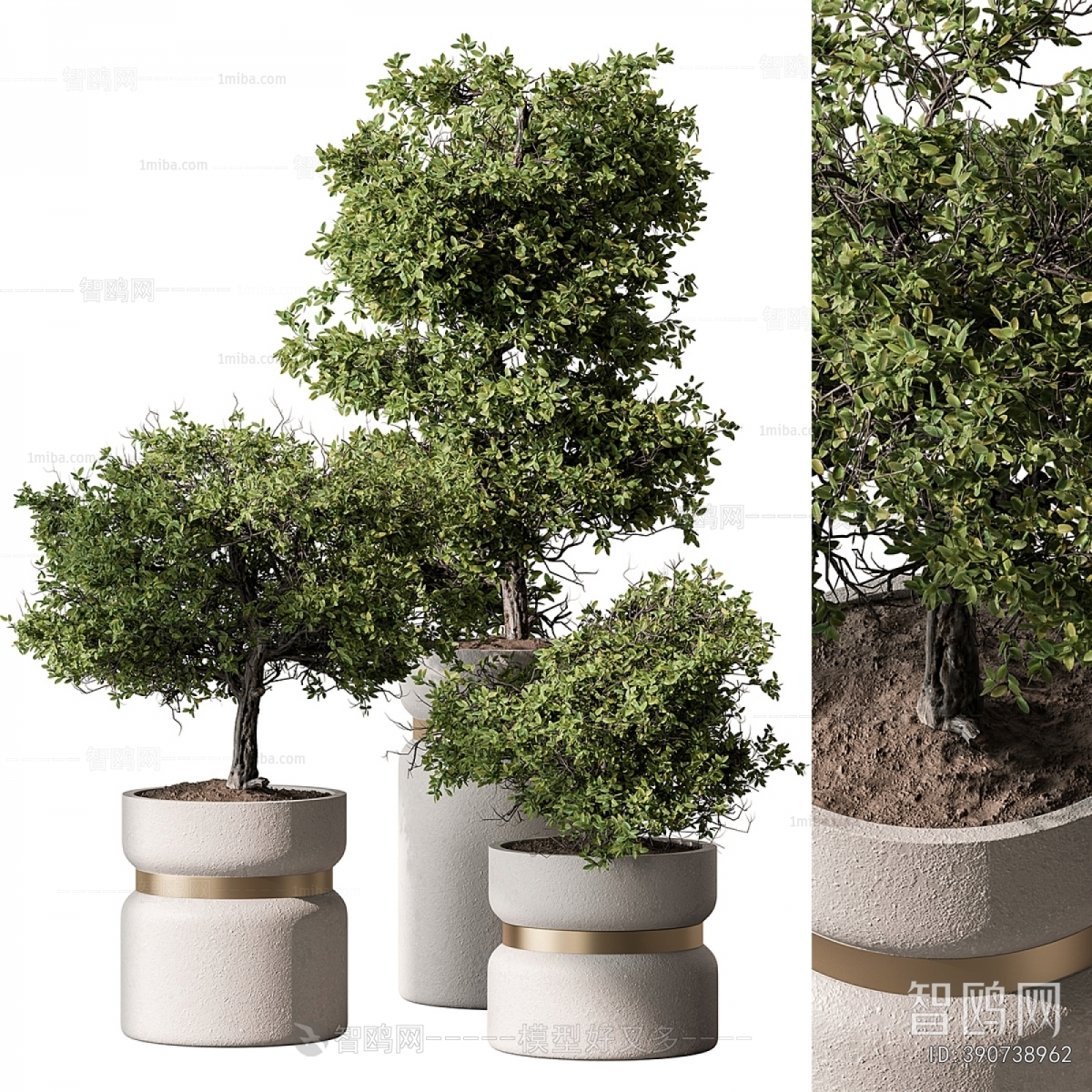 Modern Ground Green Plant Potted Plants