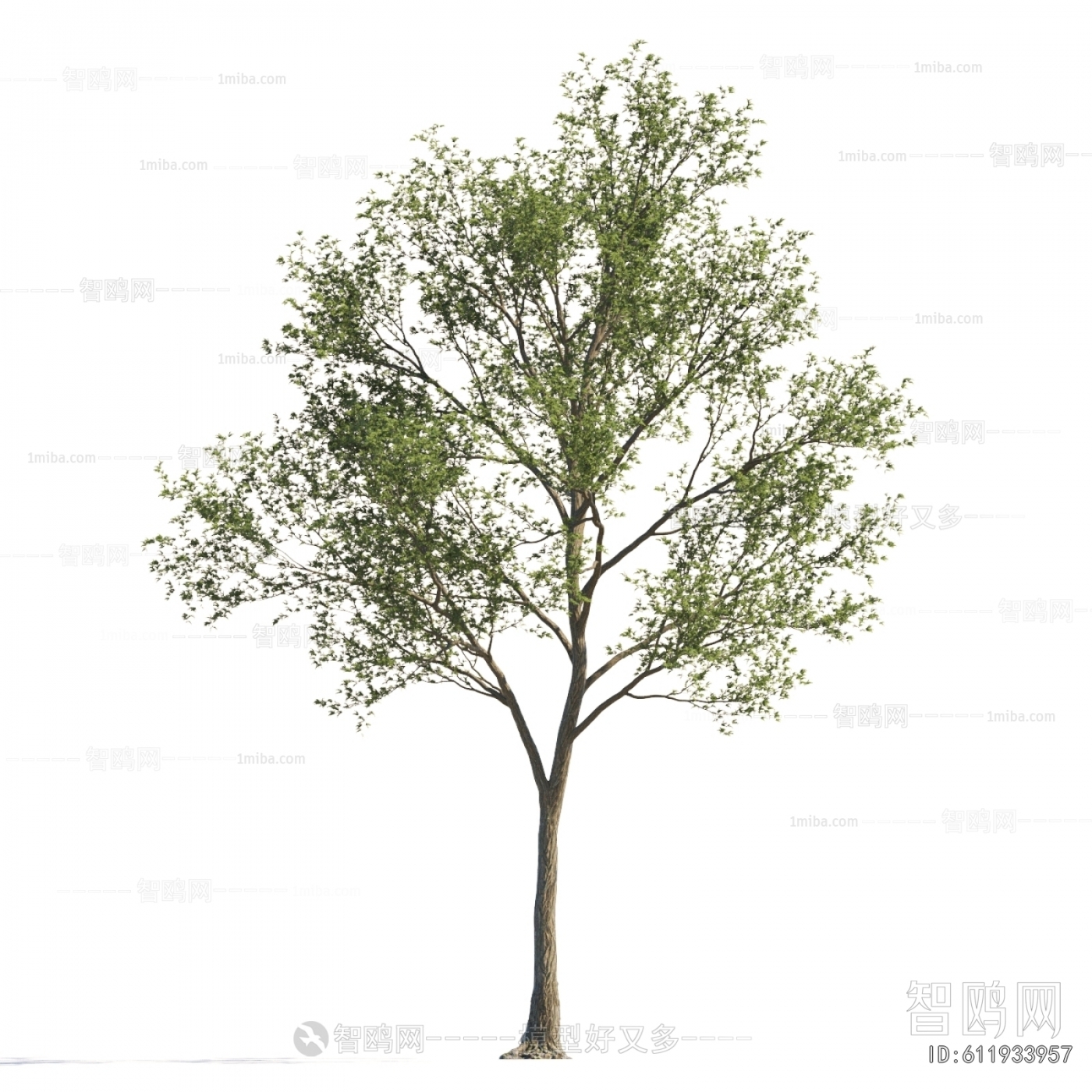 Modern Tree