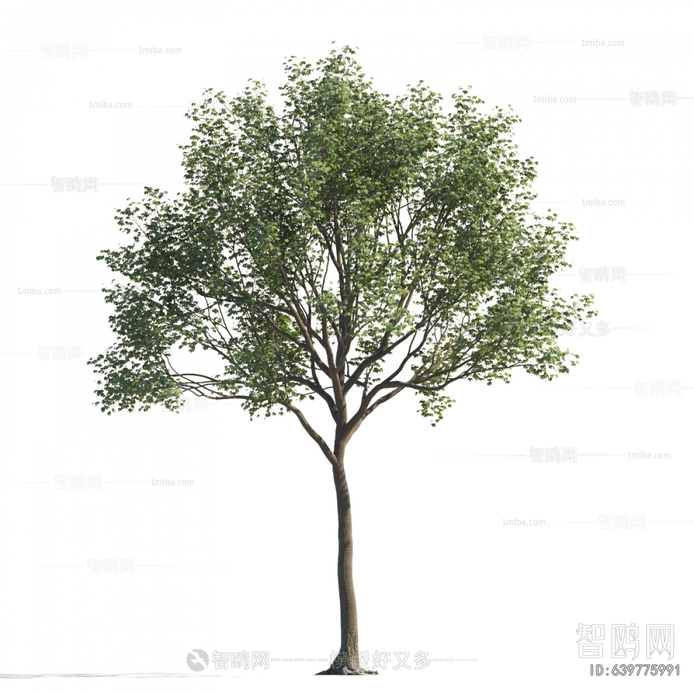 Modern Tree