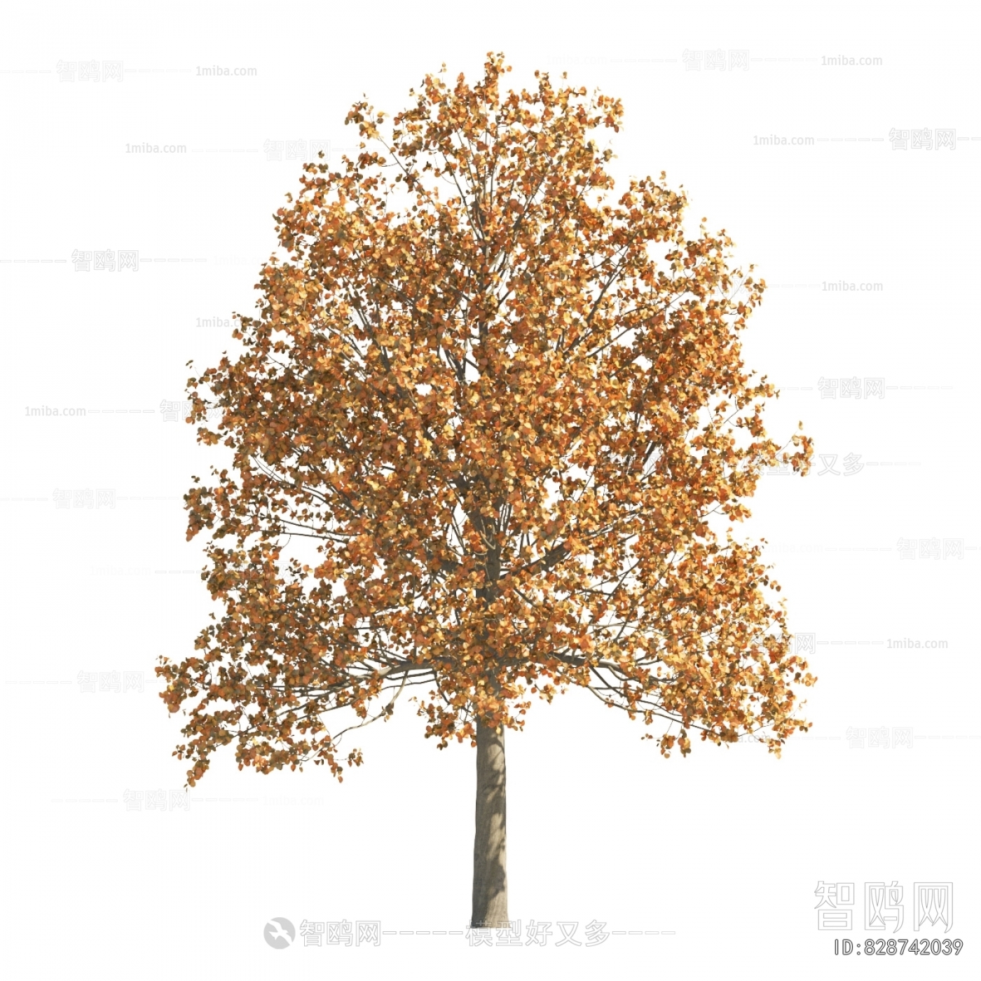 Modern Tree