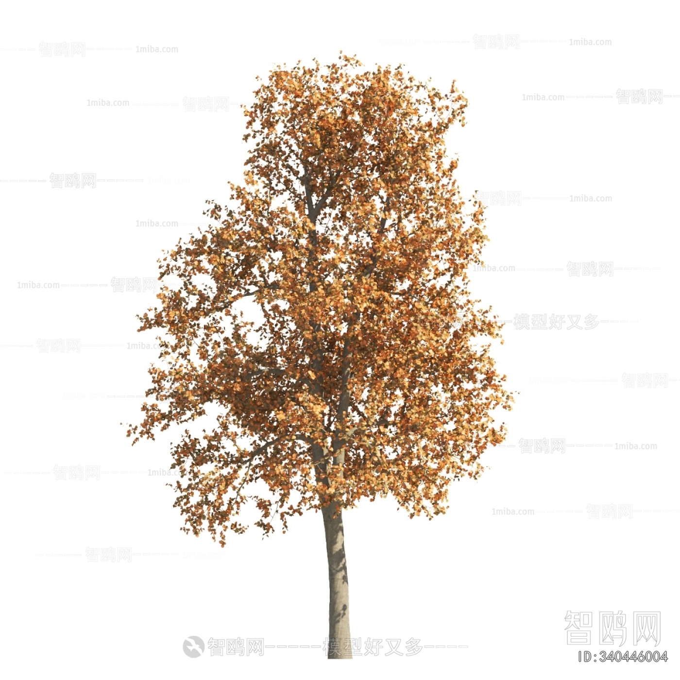 Modern Tree