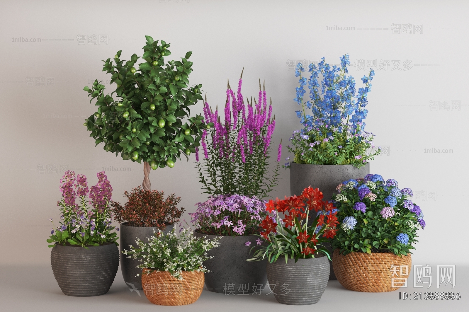 Modern Ground Green Plant Potted Plants