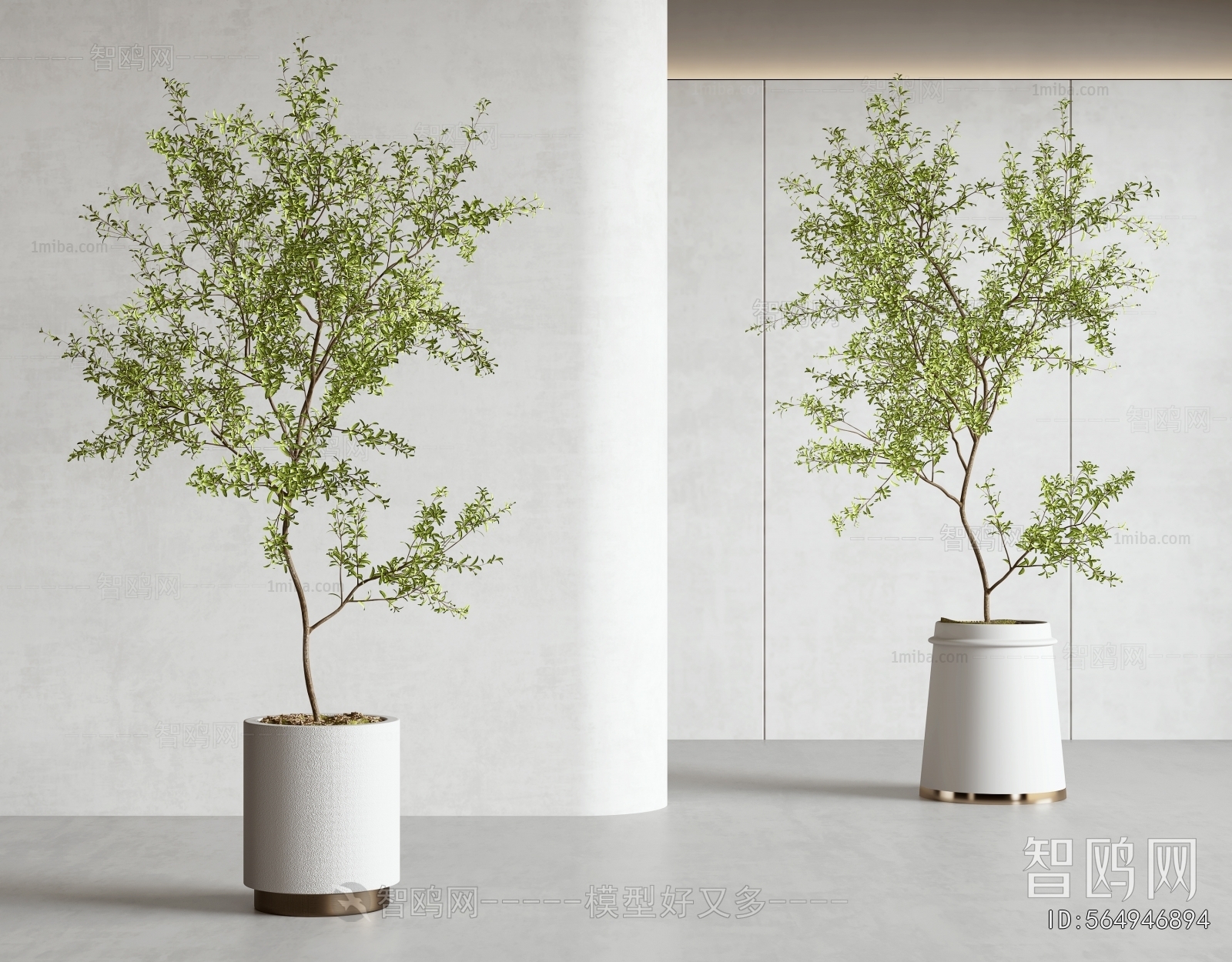 Modern Ground Green Plant Potted Plants