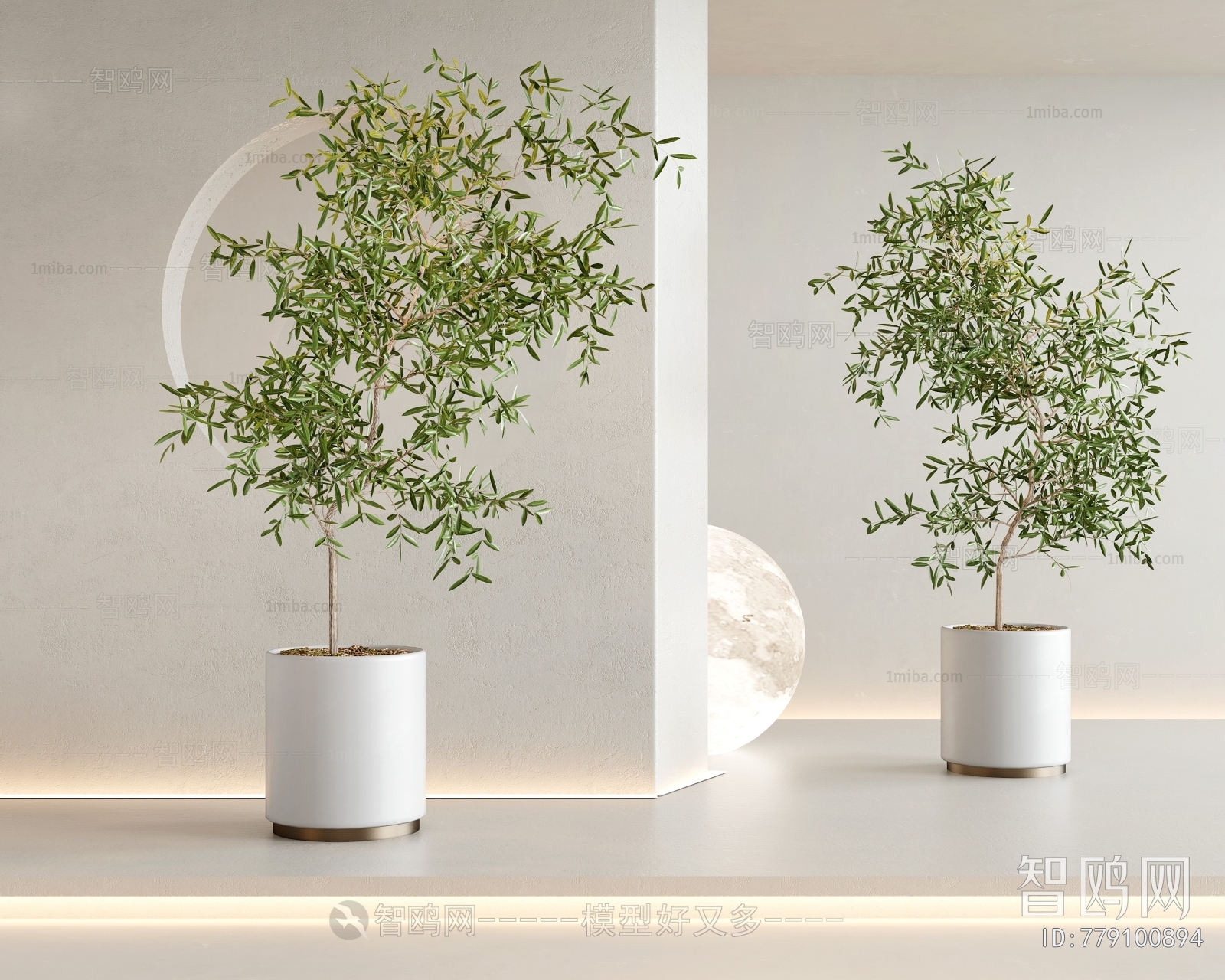 Modern Ground Green Plant Potted Plants