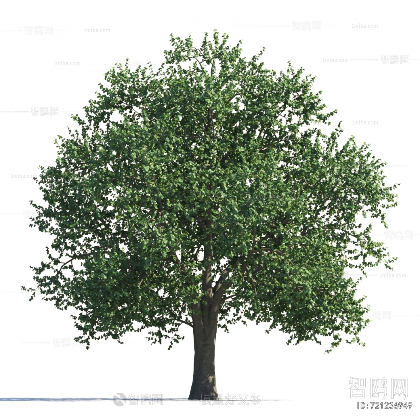 Modern Tree