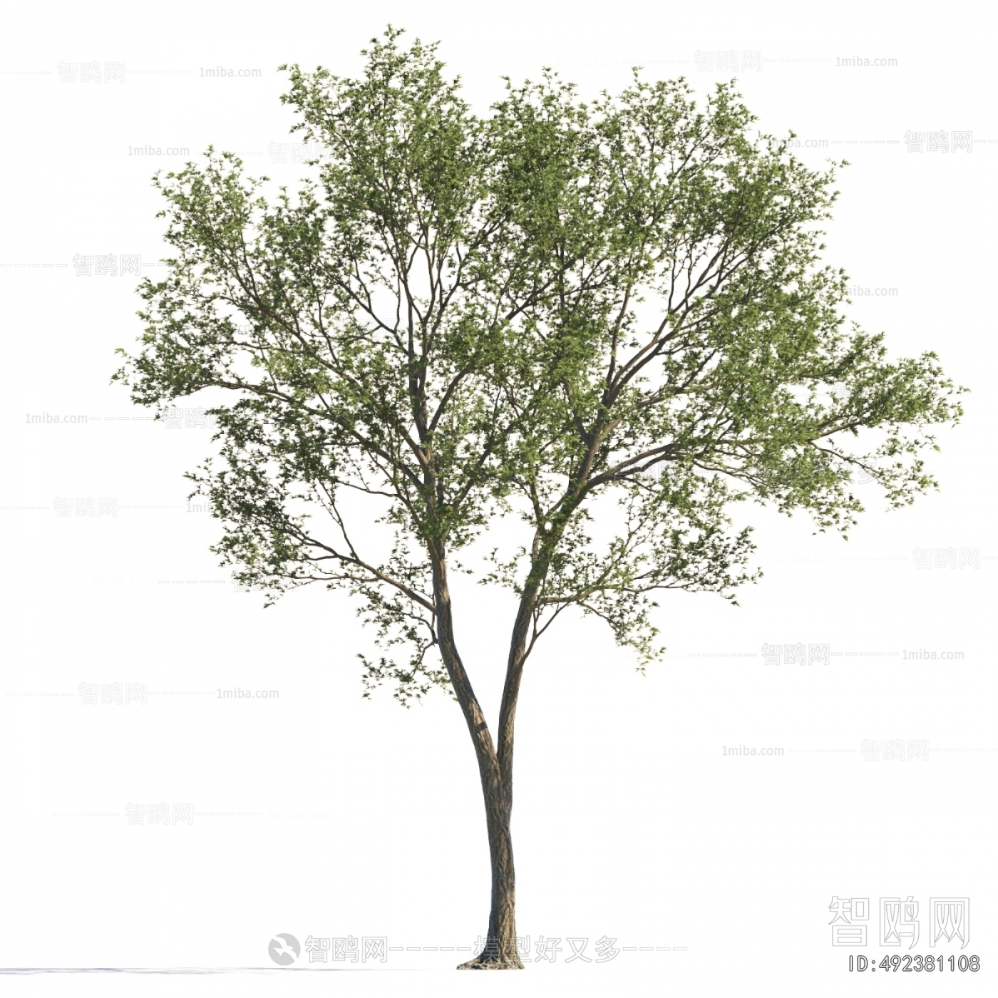 Modern Tree