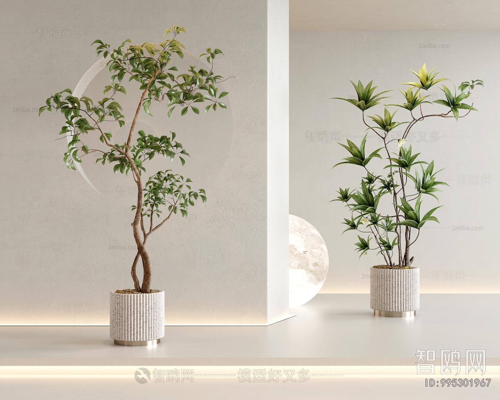 Modern Ground Green Plant Potted Plants