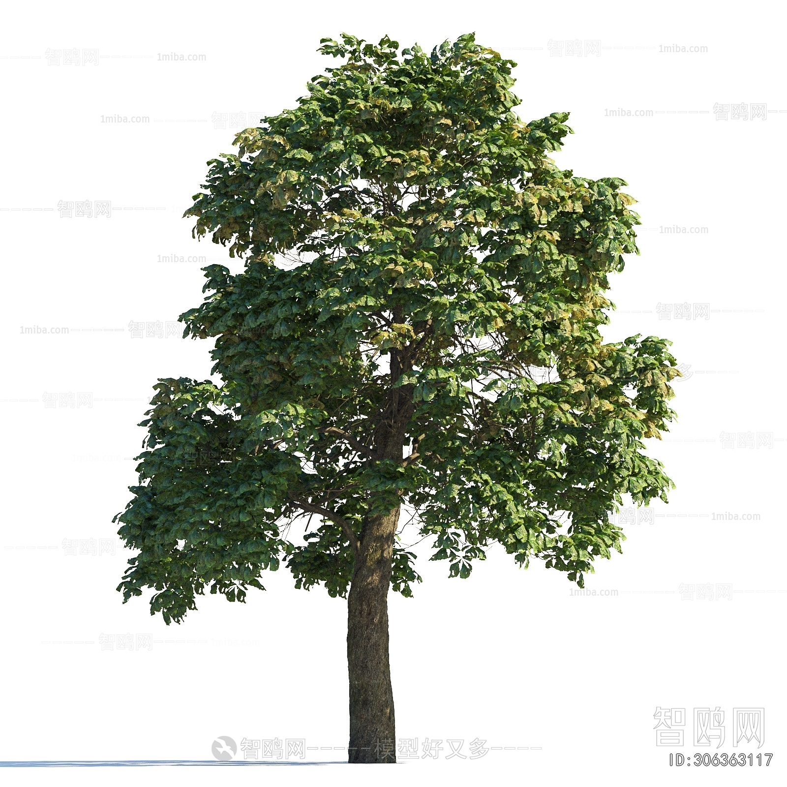 Modern Tree