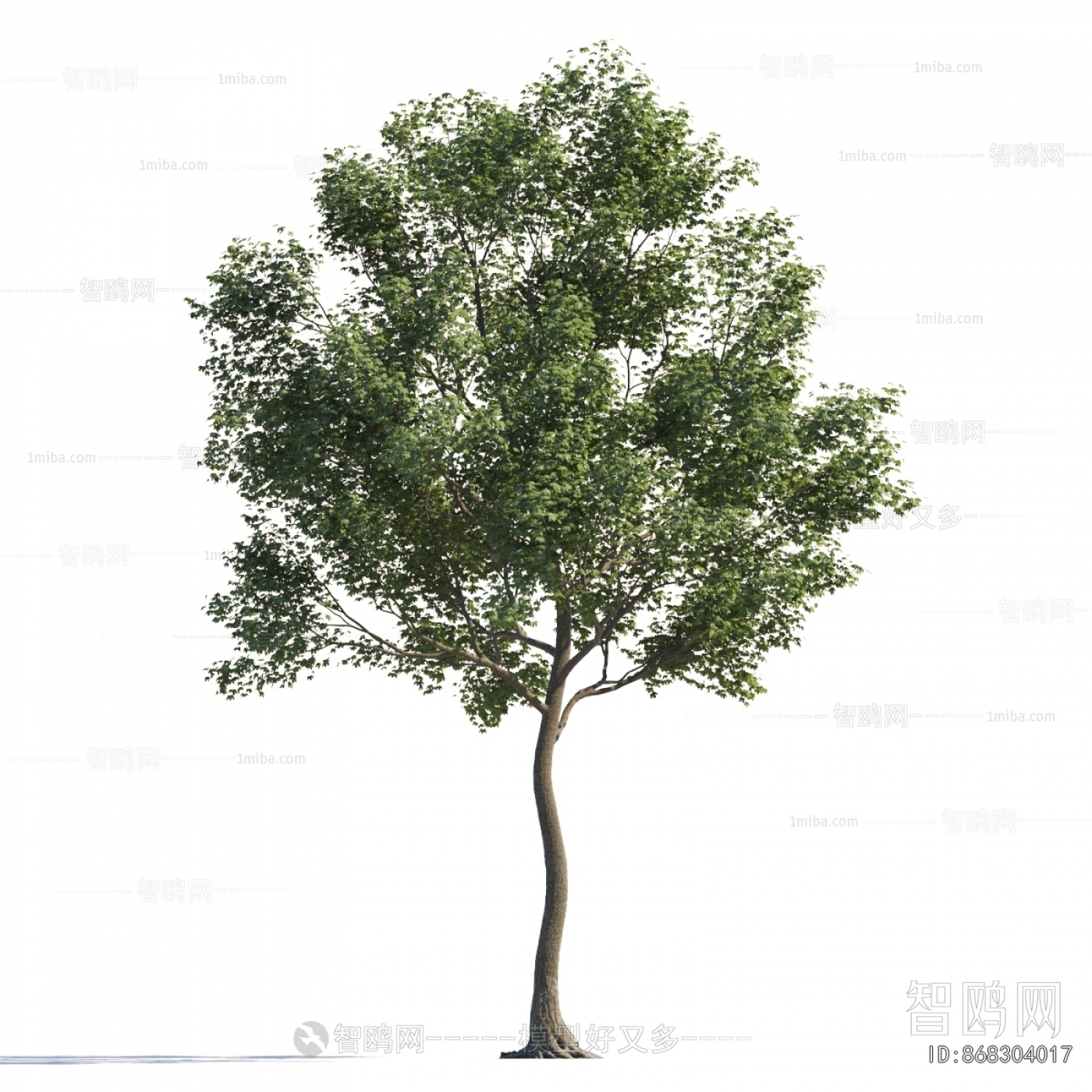 Modern Tree