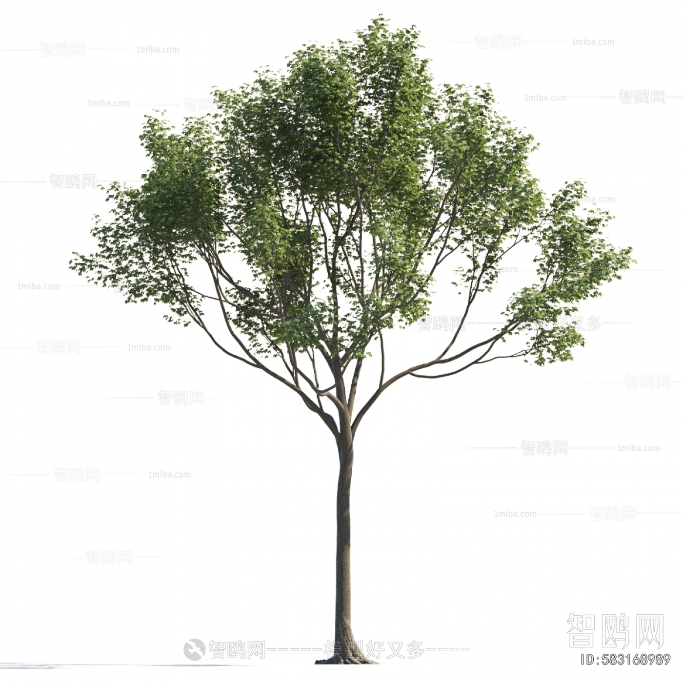 Modern Tree