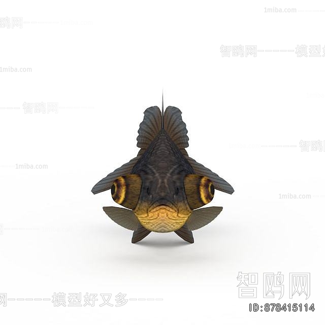 Modern Aquatic Animals