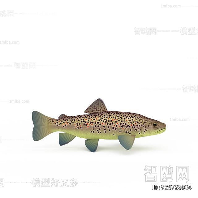 Modern Aquatic Animals