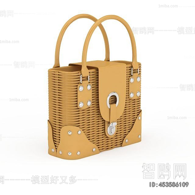 Modern Lady's Bag